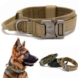 Collar Táctico para Mascotas Nuevos Modelos Resistentes