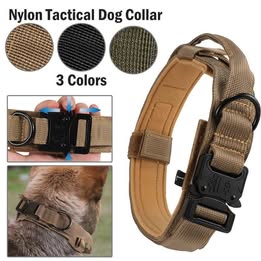 Collar Táctico para Mascotas Nuevos Modelos Resistentes