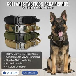 Collar Táctico para Mascotas Nuevos Modelos Resistentes