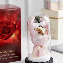 Rosa Eterna Encapsulada en Cúpula de Cristal con Luces LED  Regalo Amor Flores