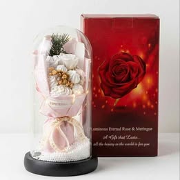 Rosa Eterna Encapsulada en Cúpula de Cristal con Luces LED  Regalo Amor Flores